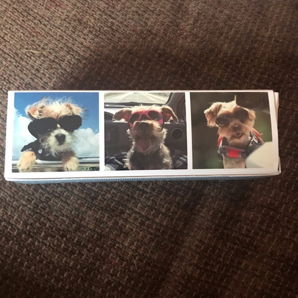 Dog Goggles Black - Picture 1 of 4